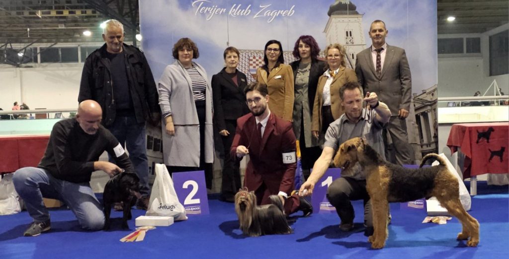 TERIJER KLUB BIS 2025